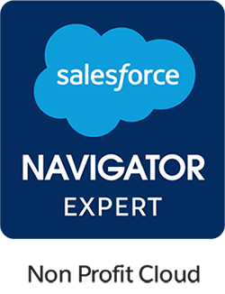 salesforce navigator export